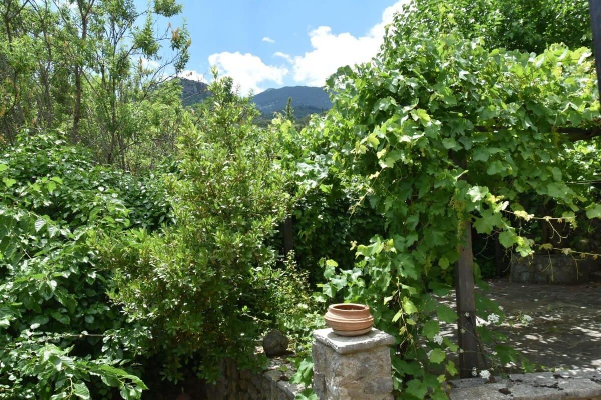 Mariolata Vintage Stone Villa - 4 Season Escape Εξωτερικό φωτογραφία